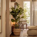 Apartamento Aphrodite's On Agia Sofia Midas